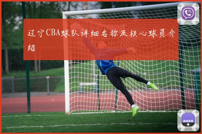 辽宁CBA球队详细名称及核心球员介绍